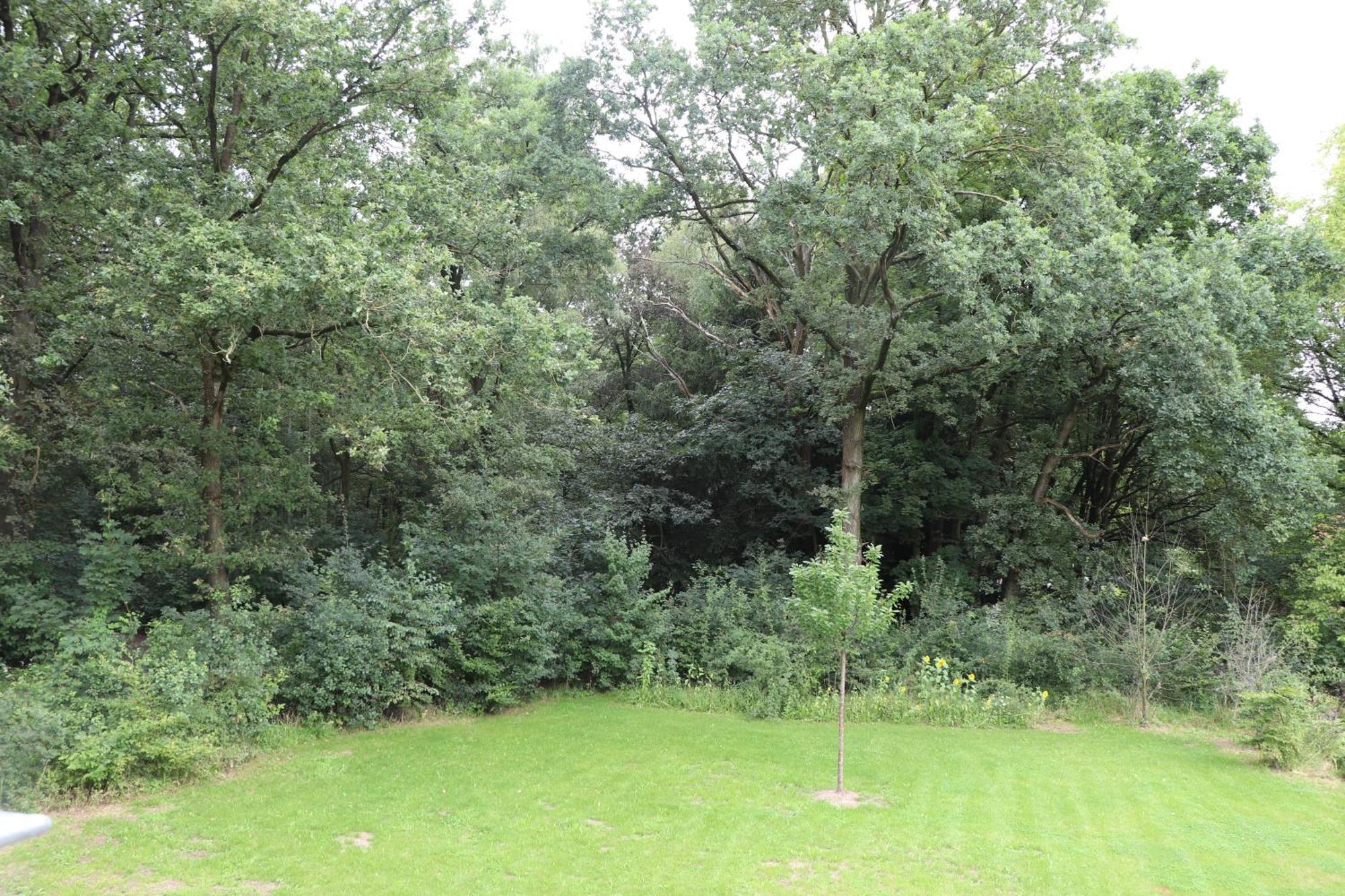 Apartamento Wijkd Leende Exterior foto